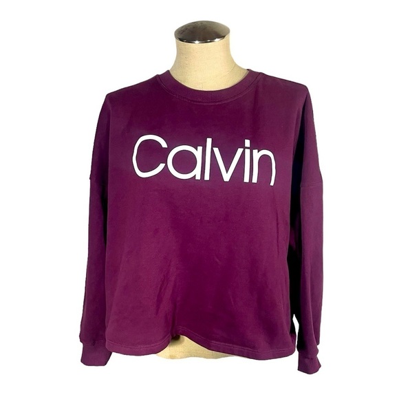 Calvin Klein Women's Relaxed Fit Logo Drop Shoulder Fleece Pullover Large - Picture 2 of 6